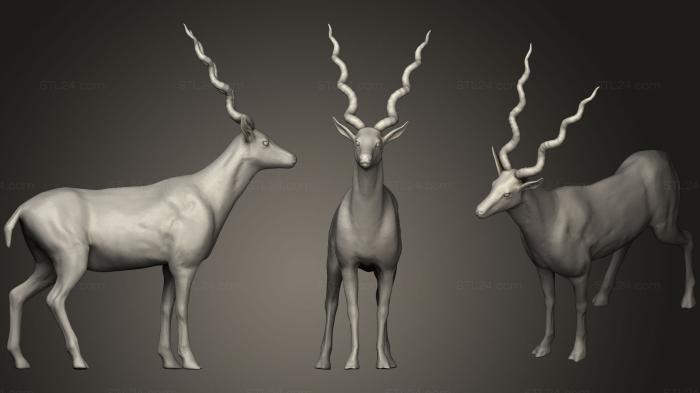Статуэтки животных (Реалистичная антилопа, STKJ_1394) 3D модель для ЧПУ станка
